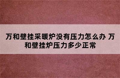 万和壁挂采暖炉没有压力怎么办 万和壁挂炉压力多少正常